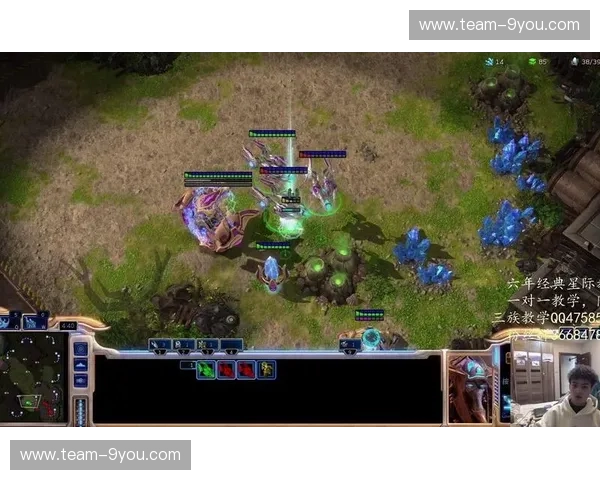 星际争霸排名：从菜鸟到天梯王者的秘密通道